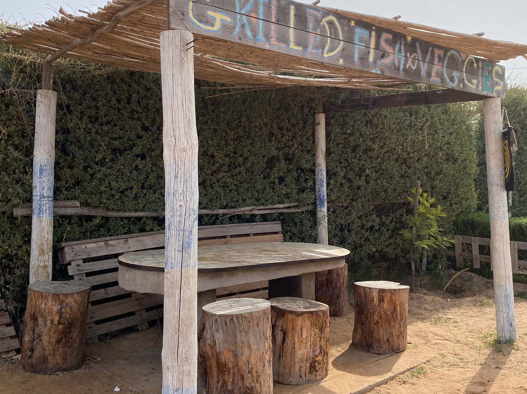 Princesse Des Huitres