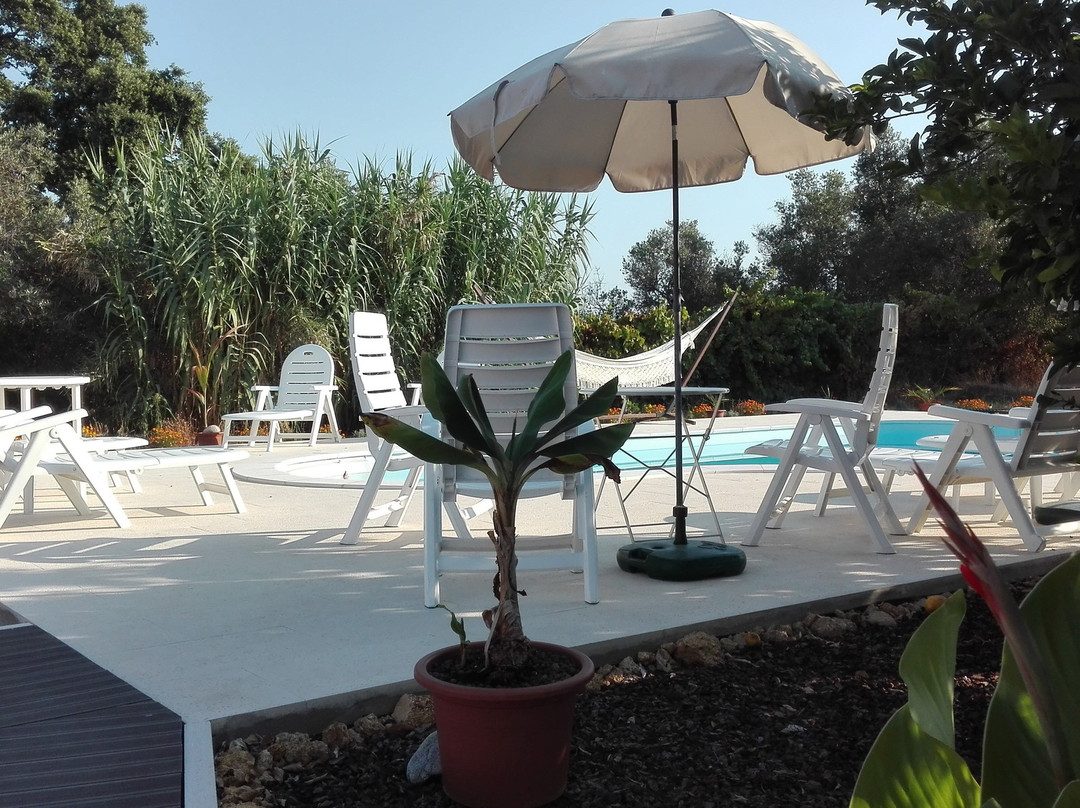 Quinta Laranjal da Arrabida主图