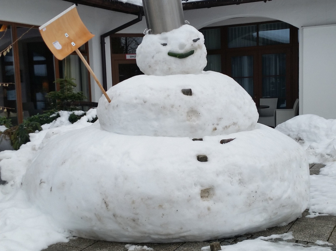 穆尔瑙阿尔班霍夫酒店_x005F_x000D_主图