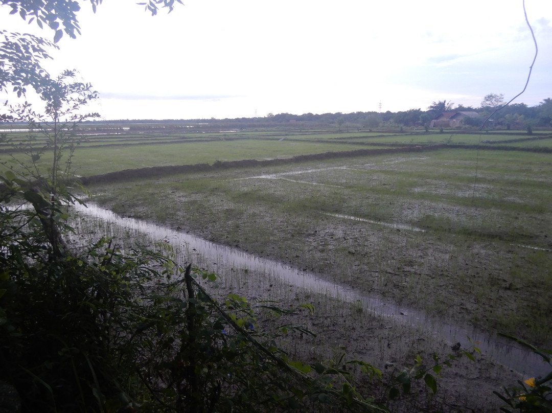 Lake Safari Eco Home主图