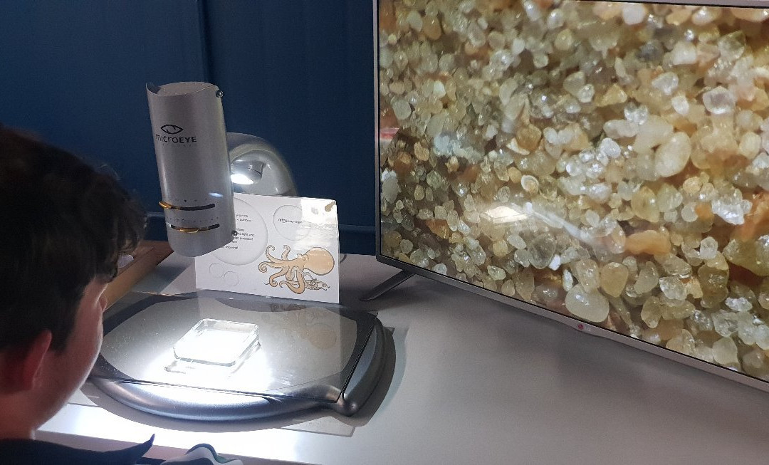 Sapphire Coast Marine Discovery Centre-伊登港必去景点