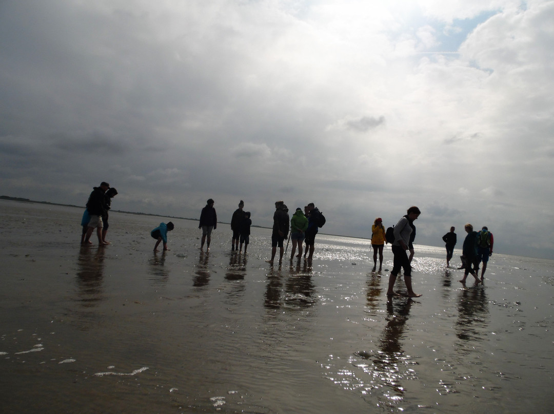 Schutzstation Wattenmeer - Nationalpark-Haus景点图片