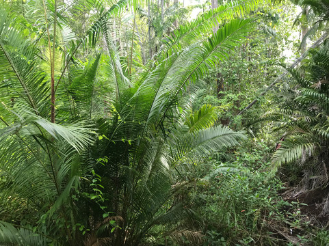 京那巴登岸湿地度假村主图
