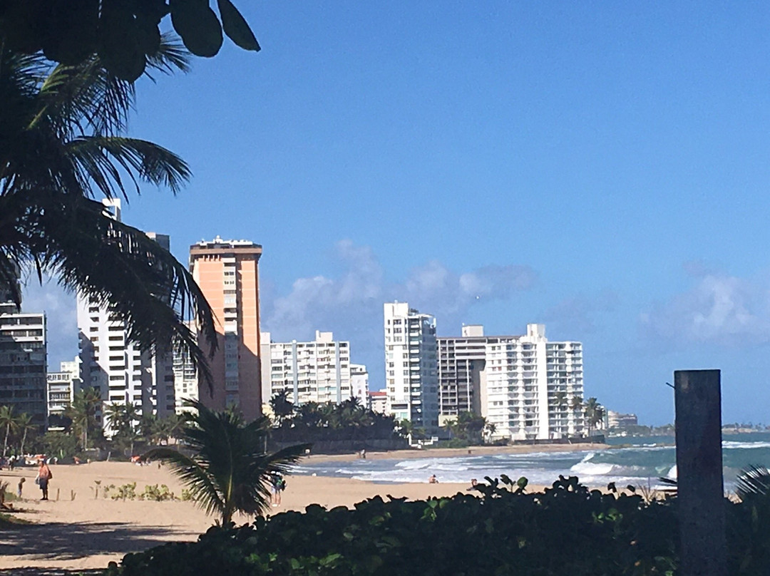 Ocean Park-圣胡安必去景点