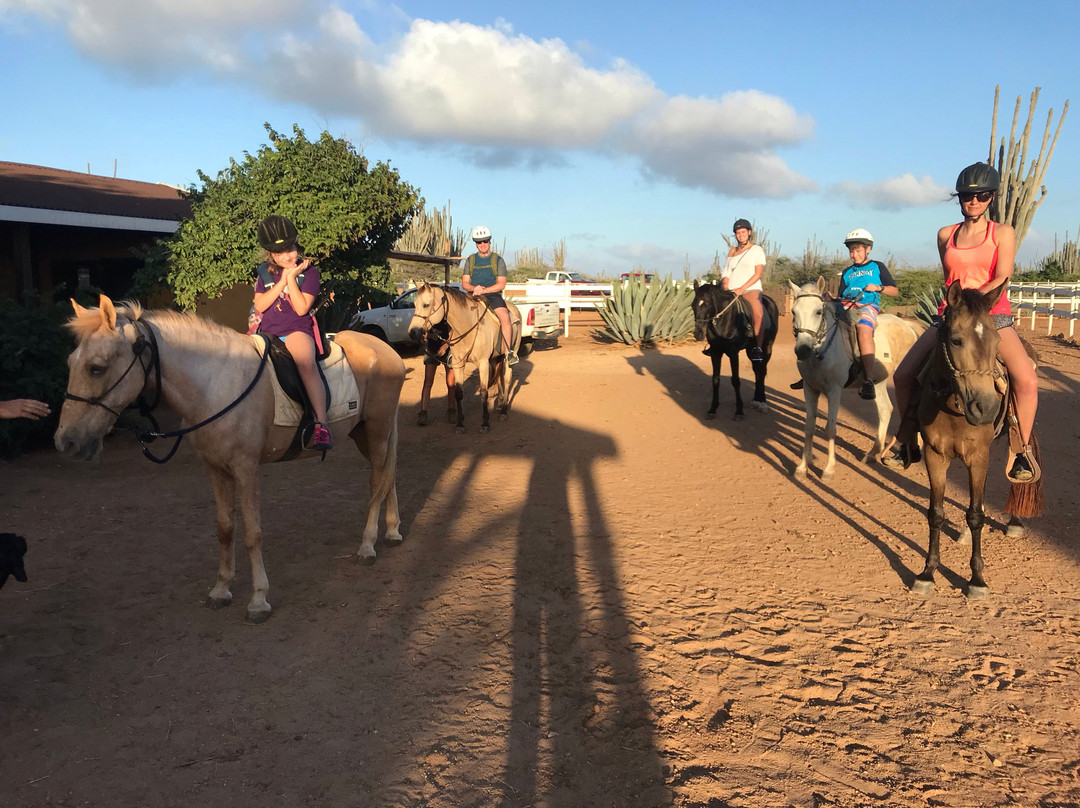 Rancho Washikemba Horse Ranch Bonaire景点图片