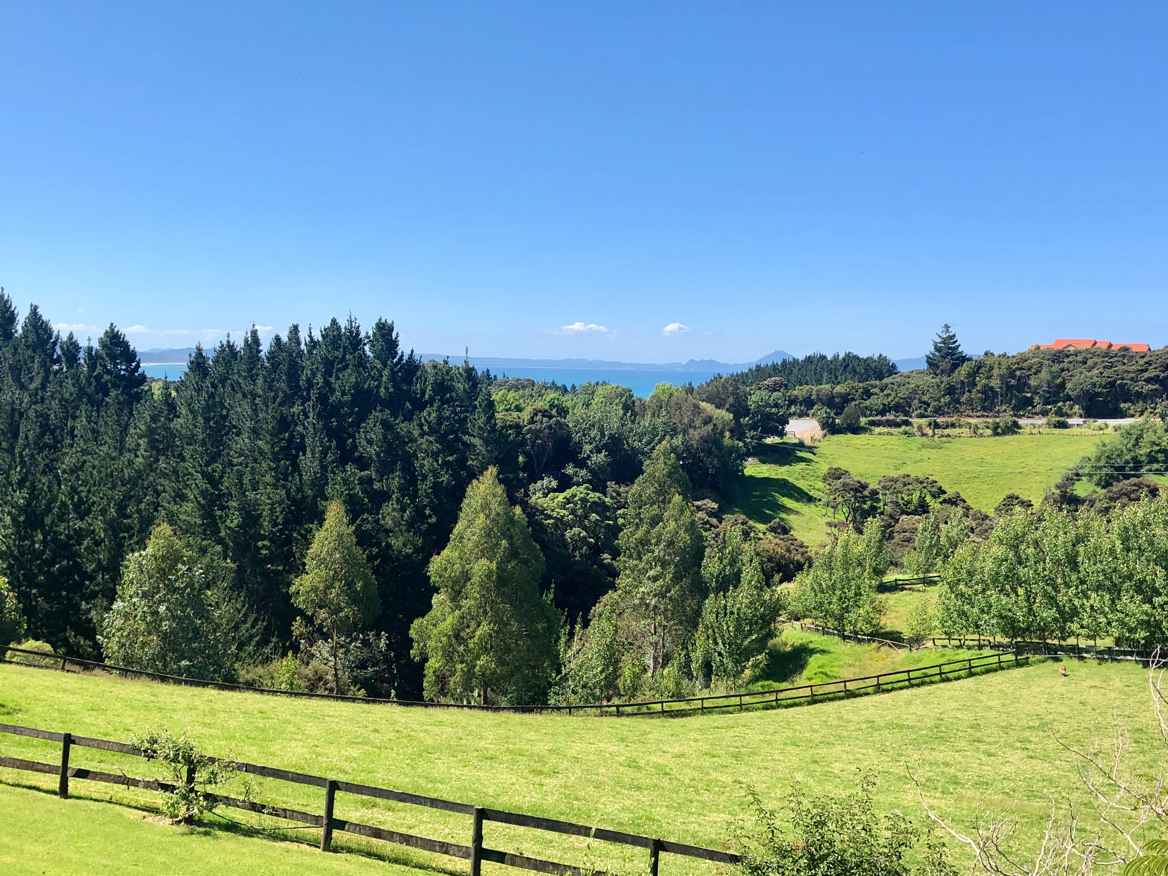 Country Homestead at Black Sheep Farm-酒店景观