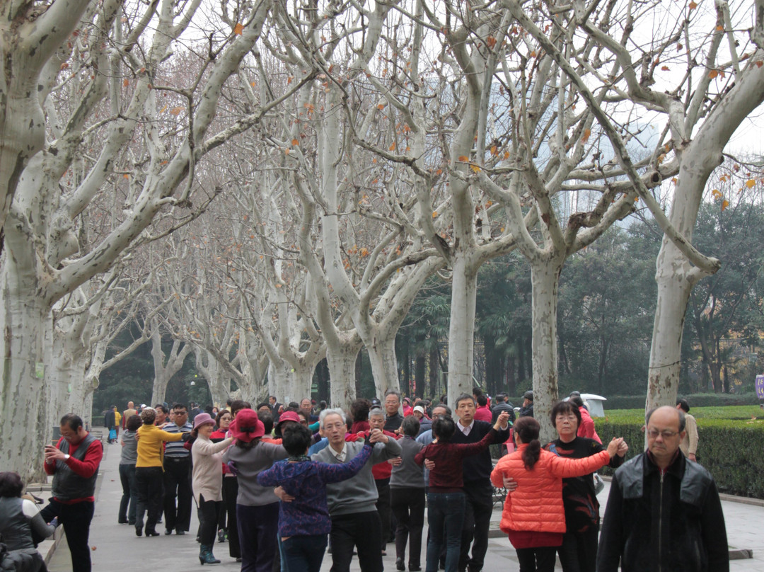 Shanghai Lily Tours-上海市必去景点