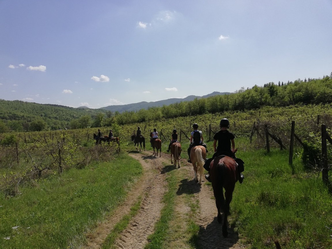 Crazy Horse Ranch ASD-阿尔诺河畔里尼亚诺必去景点