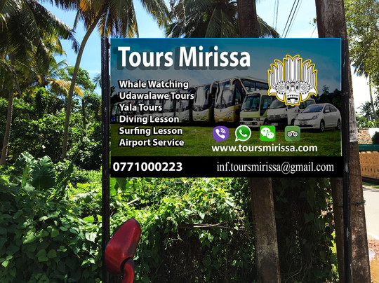 Tours Mirissa-美蕊沙必去景点