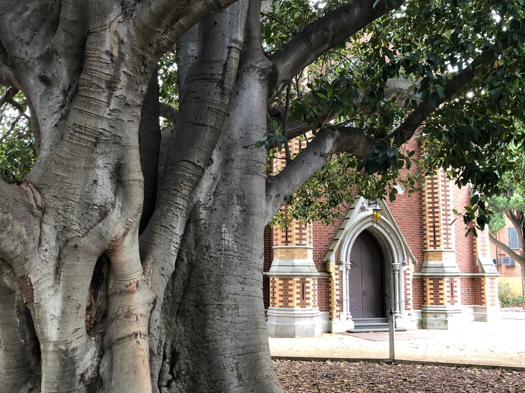 Trinity Uniting Church, Brighton-布莱顿必去景点