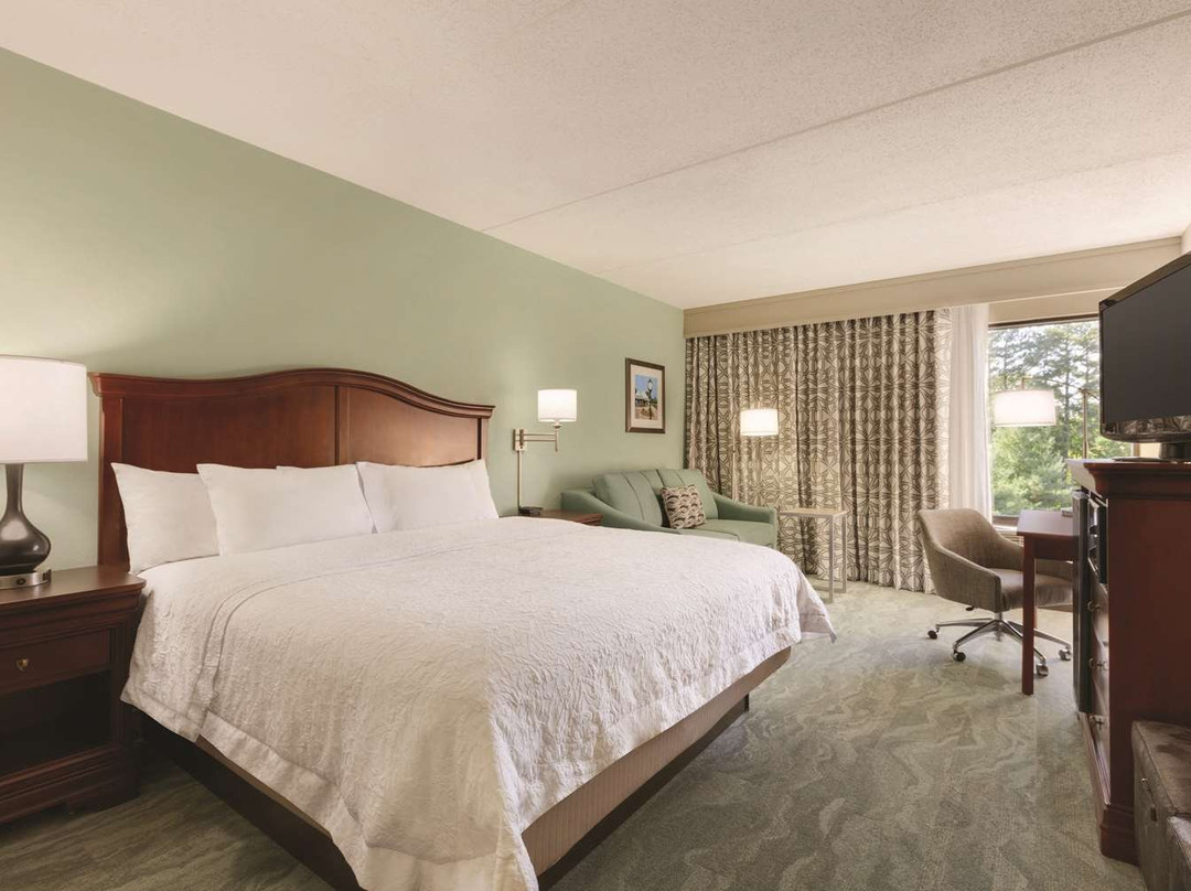 Hampton Inn Richmond-North/Ashland主图