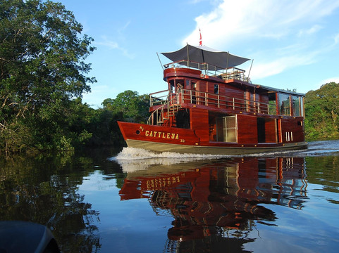 Rainforest Cruises-迈阿密海滩必去景点