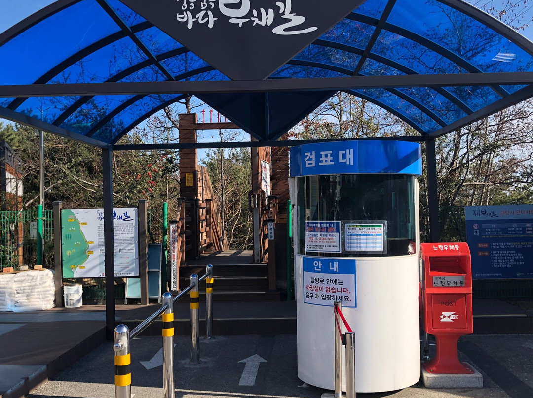 Jeongdong-Simgok Badabuchae-gil Trail-江陵市必去景点