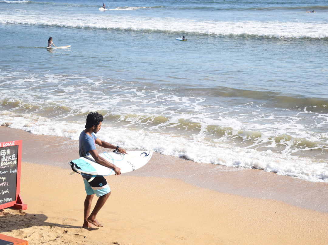Pro Surf School Sri Lanka景点图片