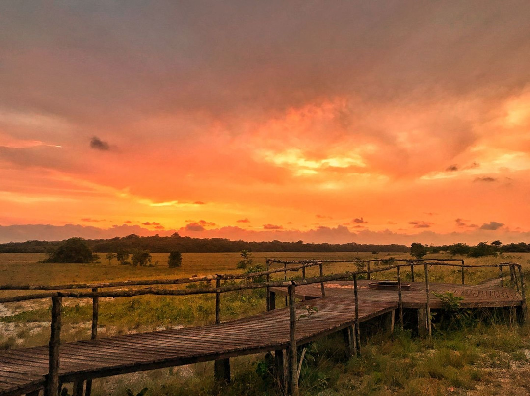 Loango National Park旅游攻略图片