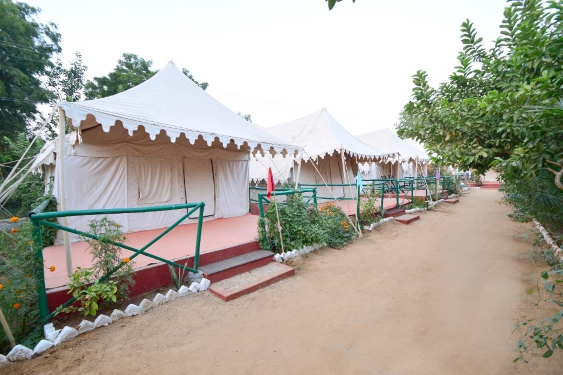 Bagh Dera Camp-官方