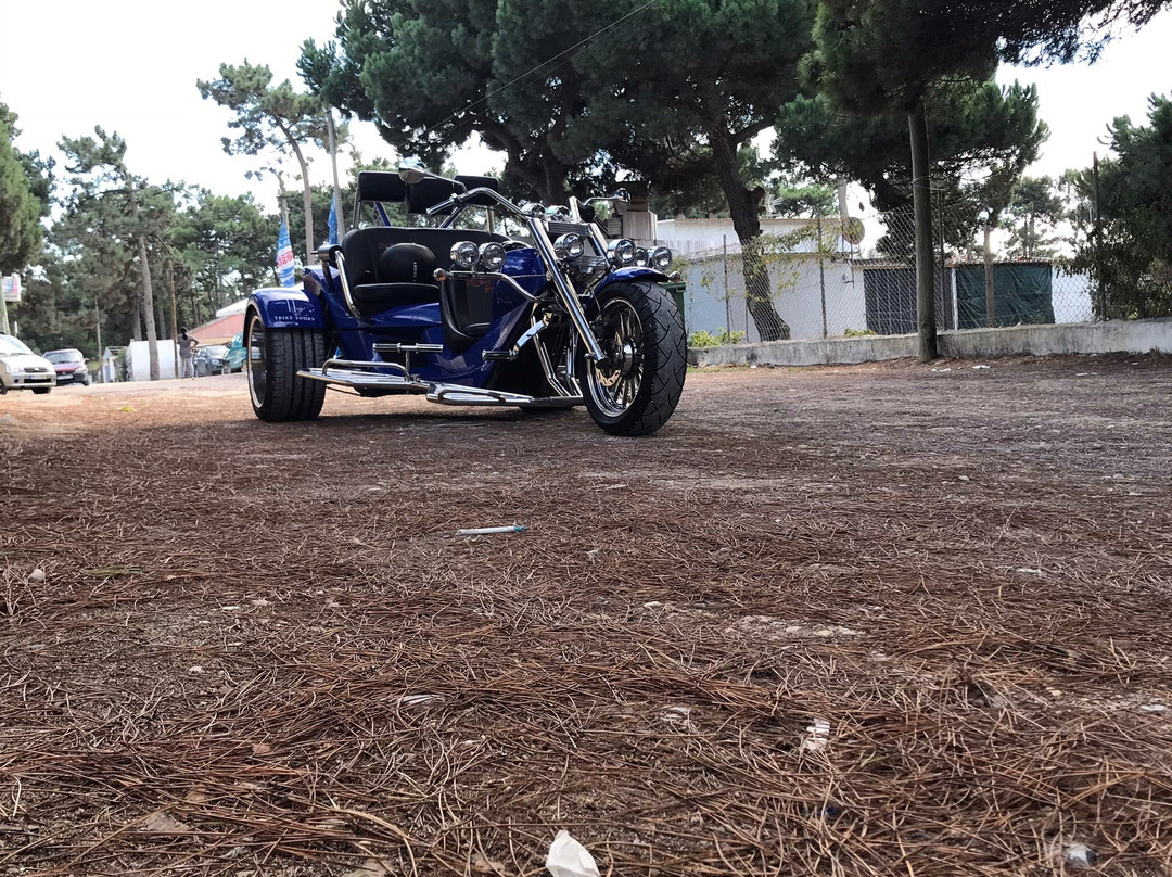 Trike Tours景点图片