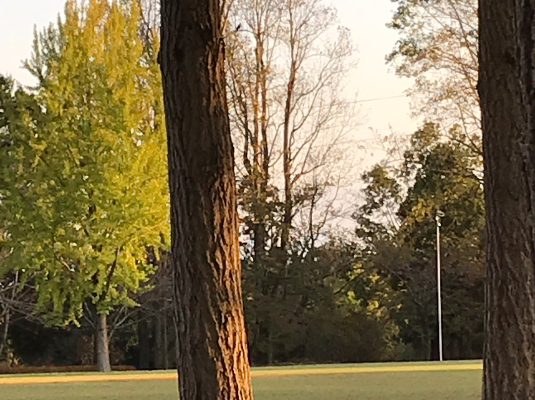 Tsukuba EXPO '85 Memorial Park-筑波市必去景点