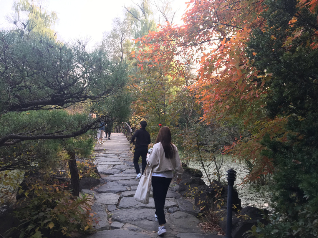 The Botanical Garden of BCJ-坡州市必去景点