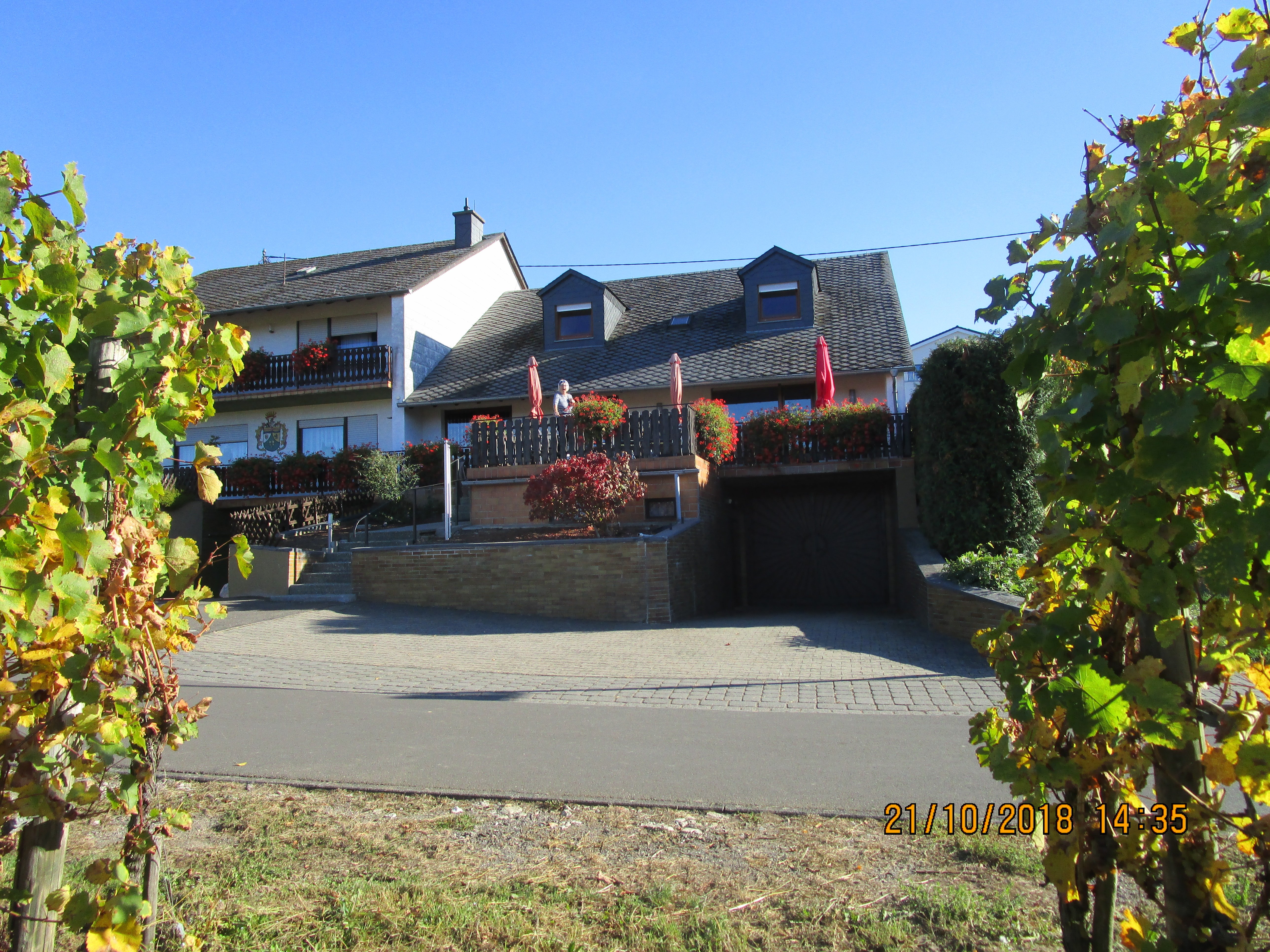 Pension Moselblick-浴室