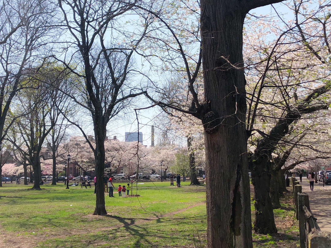 Wooster Square Park-纽黑文必去景点