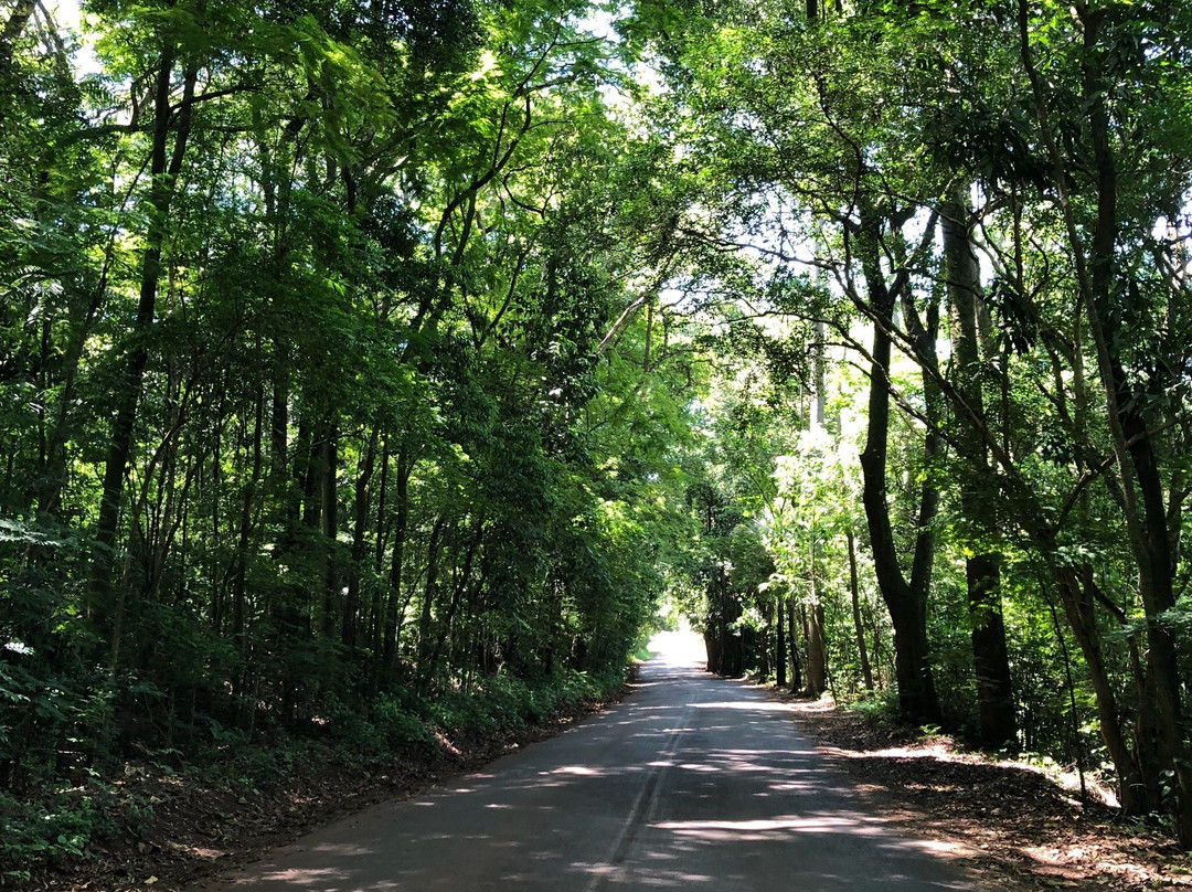 Museu do Cafe (Fazenda Lageado)-Botucatu必去景点