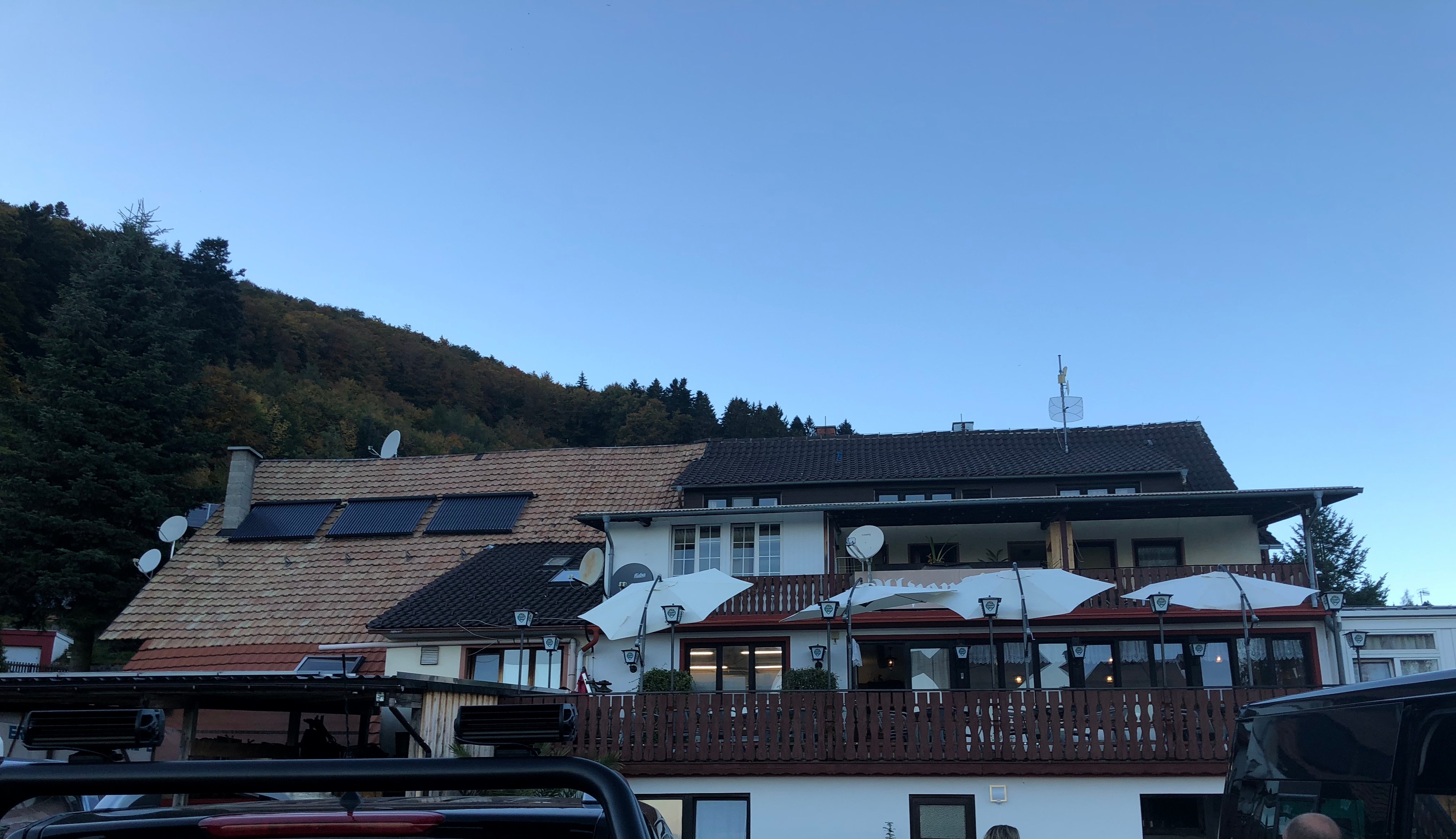 Berghotel Alpenblick-餐饮
