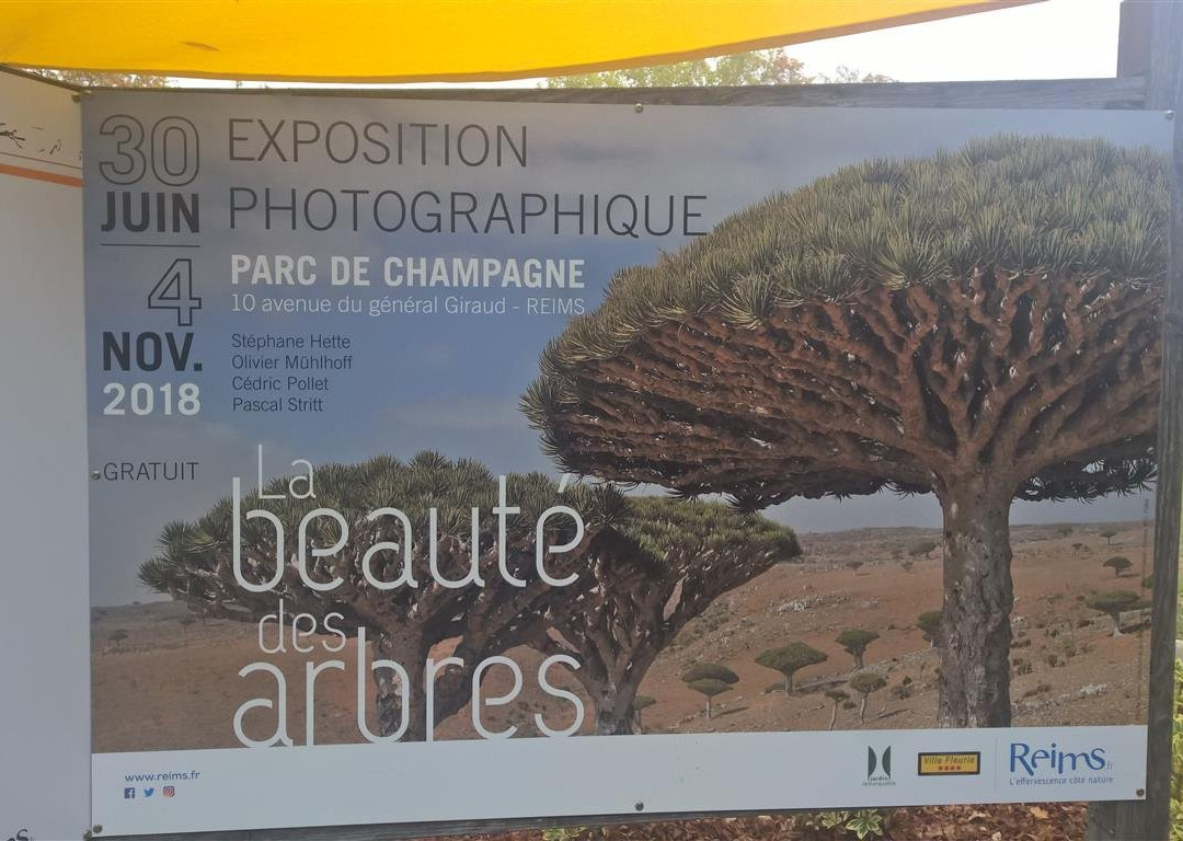 Parc de Champagne-兰斯必去景点