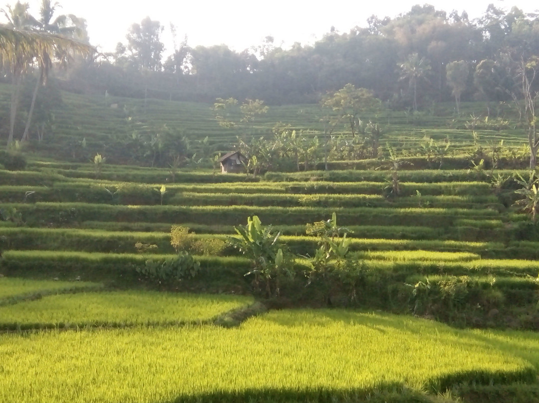 Curug Tujuh Cibolang景点图片