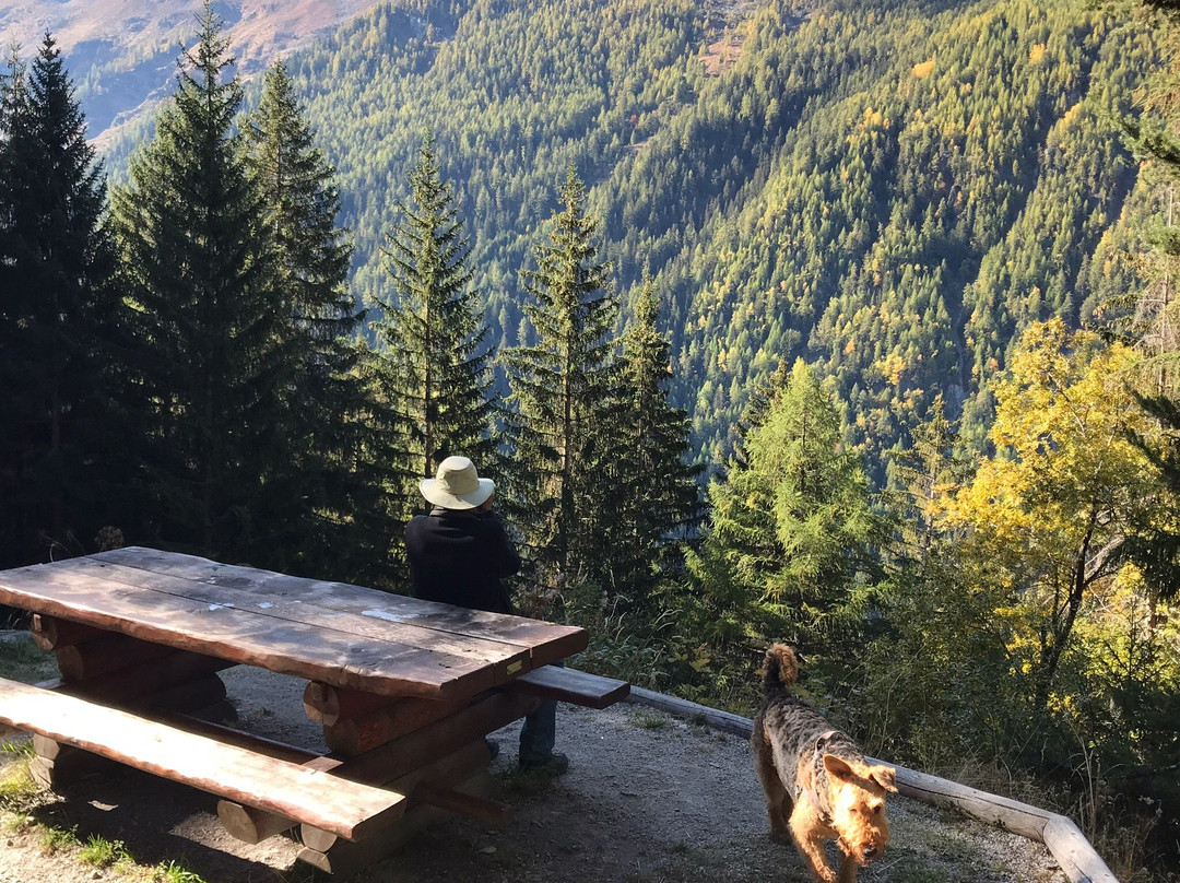 Grand Bisse de Vercorin-Vercorin必去景点