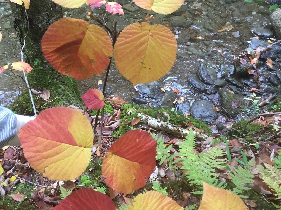 Johnnycake Flats Inn主图