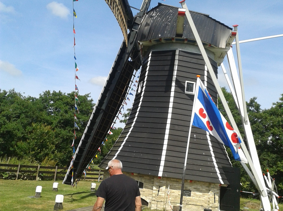 De Sûkerei-Damwald必去景点