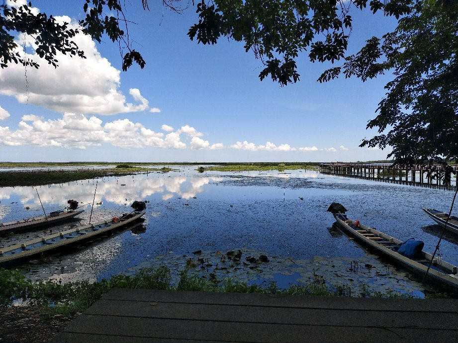 Thale Noi Waterbird Park景点图片
