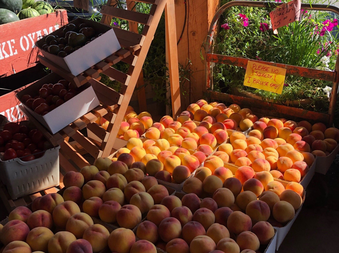 Gatzke's Farm Market景点图片