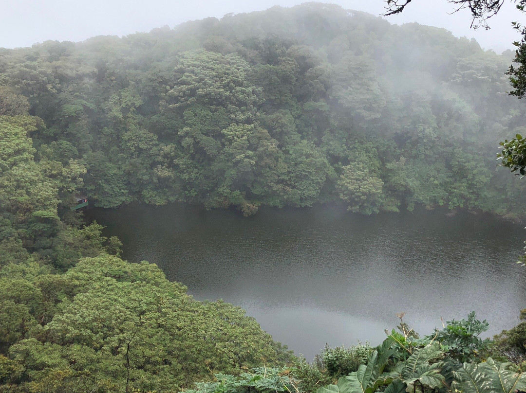 Parque Nacional Braulio Carrillo景点图片