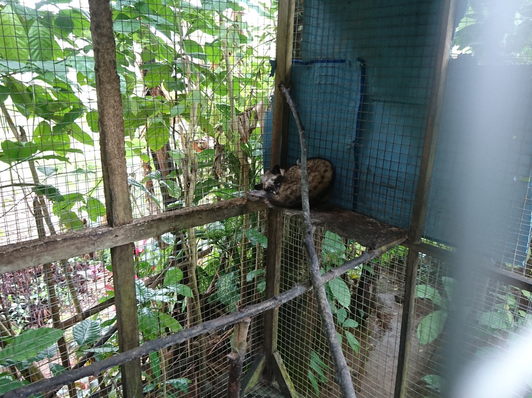 One Bali Agrowisata-Beraban必去景点