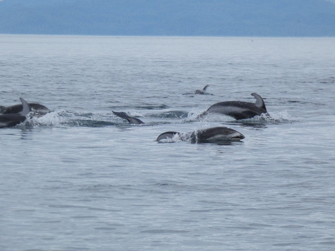 The Artists Point Bed, Breakfast and Phototours主图