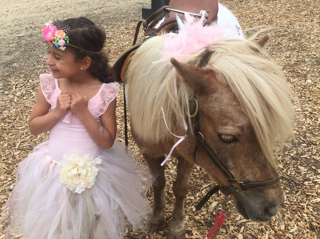 Hidden Hollow Farm-Pembroke必去景点