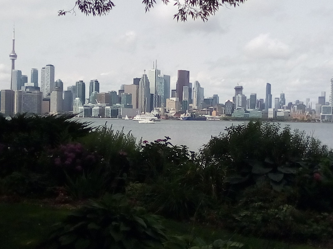 Toronto Island Bicycle Rental-多伦多必去景点