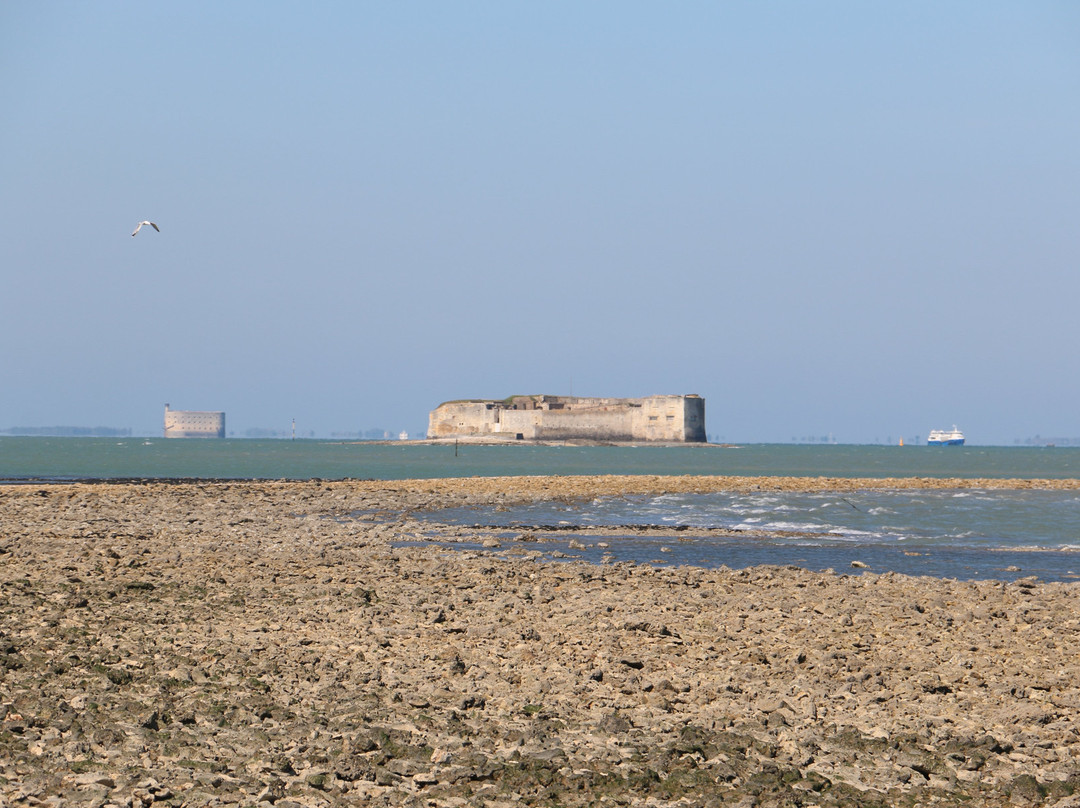 Office de Tourisme Rochefort Océan景点图片