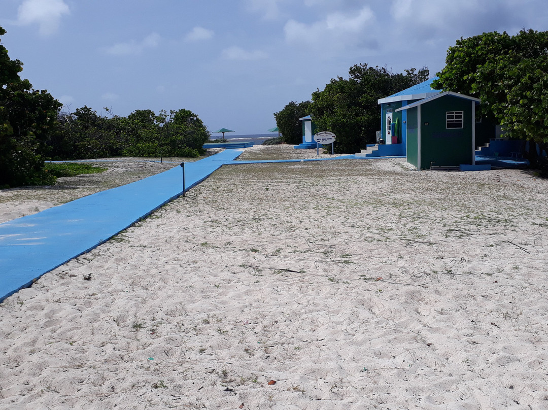 Loblolly Beach-Anegada必去景点