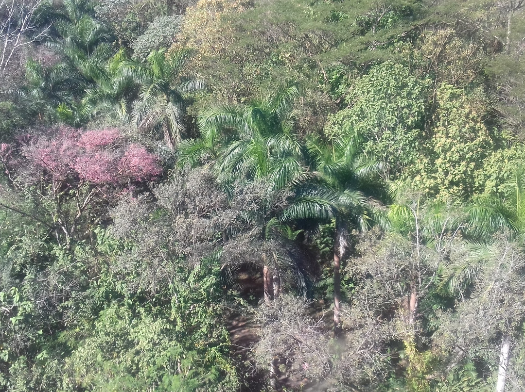 Turu Ba Ri Tropical Park-圣何塞省必去景点