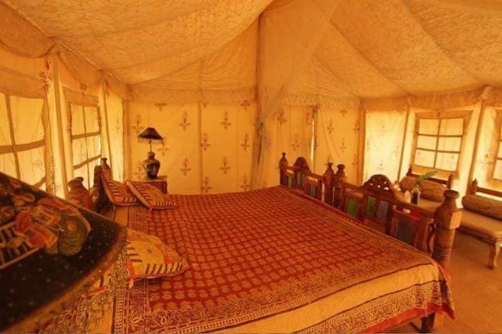 David Desert Camp主图