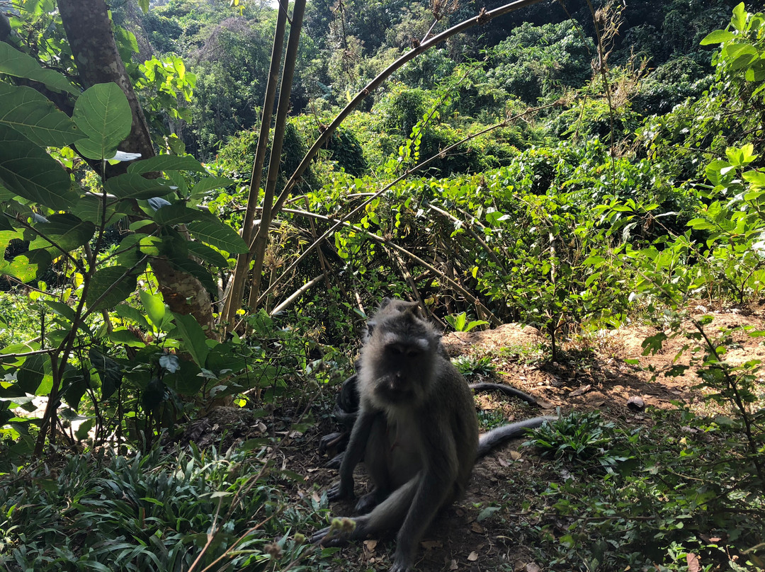 Tamatur Bali-登巴萨必去景点