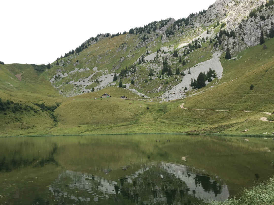 Lac D'Arvouin景点图片