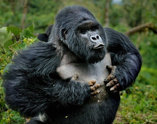 Marlene Africa Safaris-坎帕拉必去景点