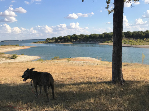 Cedron Creek Park-Morgan必去景点