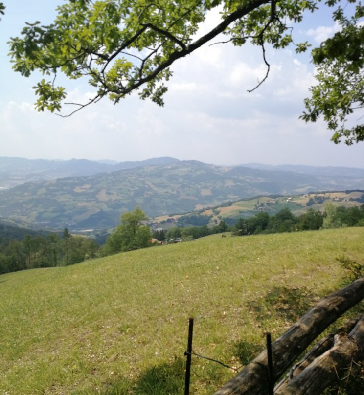 Parco di Santa Giulia景点图片