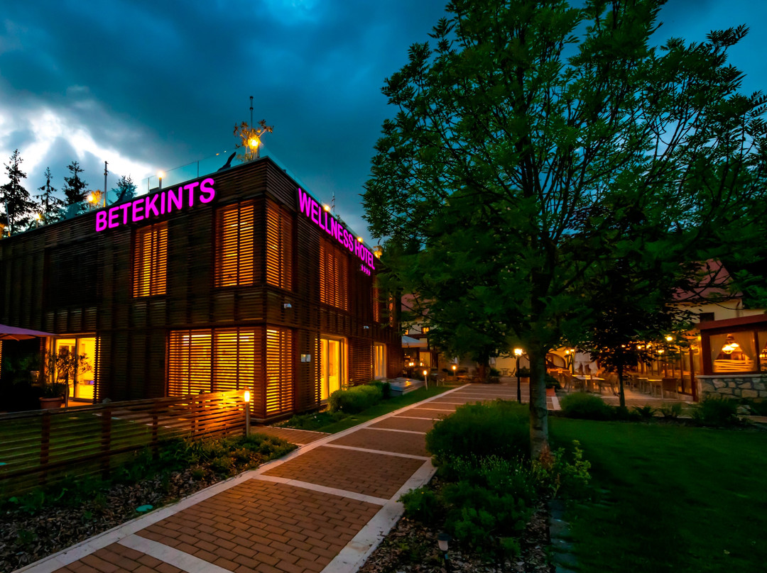 Betekints Wellness & Conference Hotel主图
