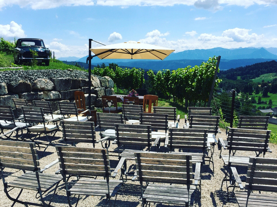 Weingut Karnburg景点图片